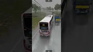 #carbus