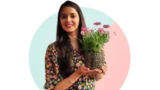 Plaster Of Paris Flower Pot | DIY | POP Pot | Home Decor