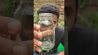 Reusing an old, waste glass jar ➡️ propagate water hyacinth #reuse #shorts #propagation
