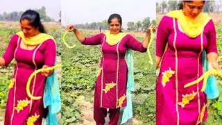 Dekho...Menu ki milia Khet cho....🙄🙄 Village Life of Punjab India 🖤 Indian rural life of Punjab