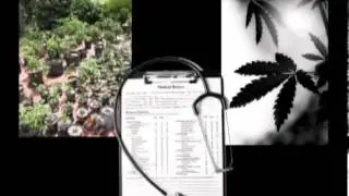 Online Marijuana College