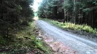 Mini WRC Cambrian Rally 2012 McGeehan