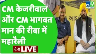 Arvind Kejriwl Live : Rewa में AAP की रैली में CM Arvind Kejriwal and CM Bhagwat Mann
