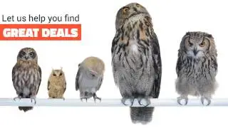 Find Incredible Deals Near You - Skout Deals