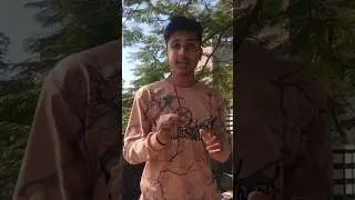 I Finished the Whole Pencil ✏️ | Crazy Writing Challenge #shorts #challenge