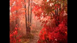 The gold and crimson autumn. Золото-багряная осень.
