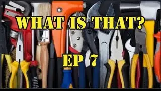 #shorts #whatisthis #pestcontrolguys   What is that? Ep 7