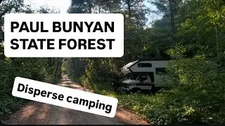 PAUL BUNYAN State Forest - Dispersed Camping