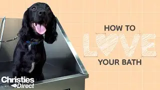 How to Love Your Bath | Maintaining Your Dog Grooming Bath