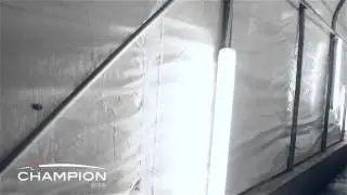 MUSHROOM FARMING-TUNNEL SYSTEM MUSHROOM FARM