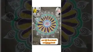 Happy Cow Pongal #arivukilitv #trending #follow #CowPongal #mgrfans #MGR