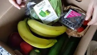Unboxing FARMBOX