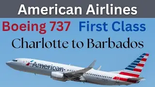 American Airlines Boeing 737 First Class Experience: Charlotte to Barbados