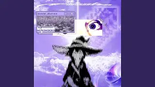 Lavender Lullaby (Whatever You Say)