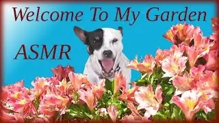 Walk Through My Garden ASMR