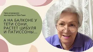 А на балконе у тёти Сони, растёт цибуля и патиссоны&hellip;