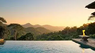 ASMR Jungle & Fireplace Ambience | Crackling Fire & Rainforest Sounds | No Talking | 1 Hour