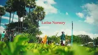 Latha Nursery &ndash; Premium Taiwan Pink Guava Plants | Profitable Farming Guide