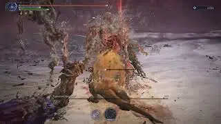 Dreglord Executor Solo Depth 4 - Elden ring Nightreign