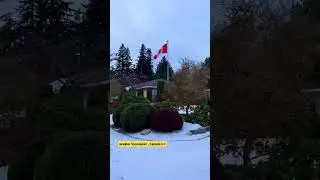 Canadian Evening Walk!🇨🇦