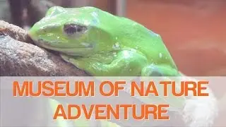 Museum Adventures - THE HALF LIFE