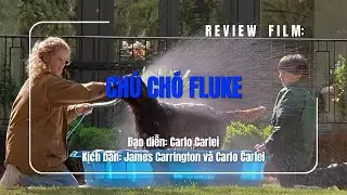 Review phim: Ch&uacute; ch&oacute; Fluke - Người đ&agrave;n &ocirc;ng t&aacute;i sinh về t&igrave;m vợ con