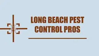Long Beach Pest Control Pros - Termite Control Service in Long Beach CA