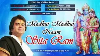 मधुर मधुर नाम - Madhur Madhur Naam Sita Ram || पीसफुल सीता राम भजन #ShriChinmayanandBapuJi