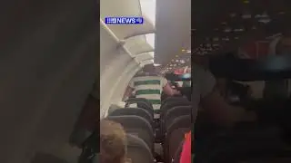Celtic fan throws punches on flight