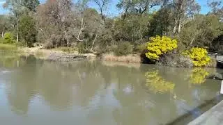 Ringwood Lake Park Walk & Scenery | Ringwood, Victoria