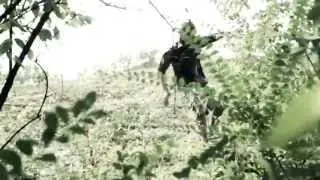 The Chase