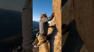Casually Climbing a Rock 😂🤣😂🤣 #cat #ai