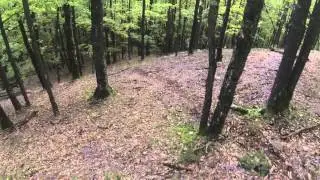 Apuseni Enduro - CRF250X