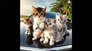 A miniature baby cats are sitting on a car #boxcat #cat #shorts #spiderman #horror #horrormovies