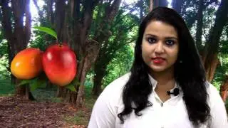 INTERNATIONAL MANGO FESTIVAL 2017 , 9 July, New Delhi, India