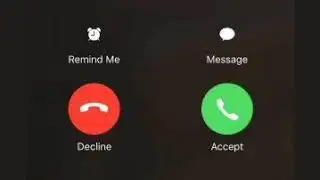 frog sound ringtone