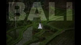 Bali - Rice, Waves and Waterfalls