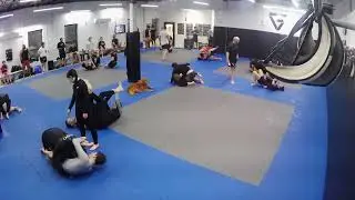 true mastery 3
