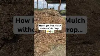 How I got Free Mulch without Chip Drop..😒🪵🌿 #GodIsGood #Mulch #Gardening #chickenrun #shorts
