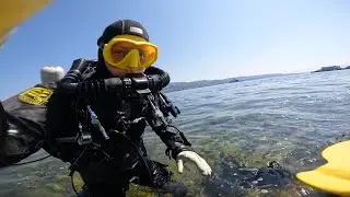Exploring the depths behind the deep wall at Horgen, Lake Zurich (50-84m)