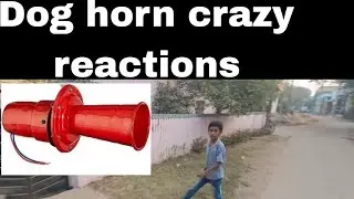 dog horn bike crazy public reactions