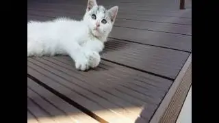 waterproof wpc decking manufacturer in russia
