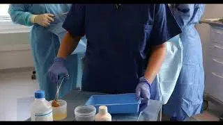 The Histolog&reg; Scanner for Intraoperative Tissue Assessment
