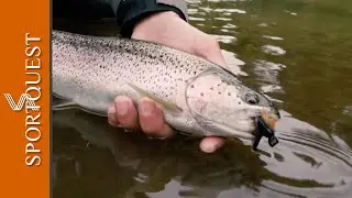 Targeting Stunning Rainbow Trout Using Mouse Flies at Bristol Bay Lodge
