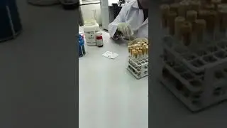 RBPT test for Brucellosis