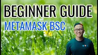 Beginner Guide To Set Up BSC Metamask And Dextools For Degen IDO Plays Cryptocurrency How To Guide