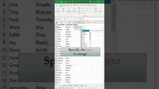 Combine Text from Multiple Cells into One Cell in Excel