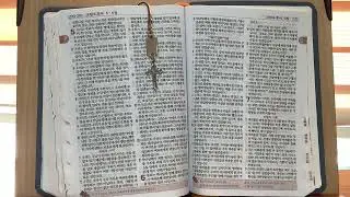 고린도후서 7장