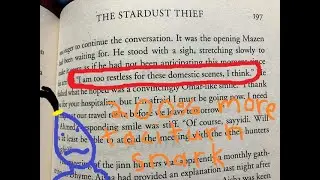 The Stardust Thief by Chelsea Abdullah Book Review