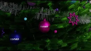 Wishing you a peaceful Holiday Season - The Consoulution Team
